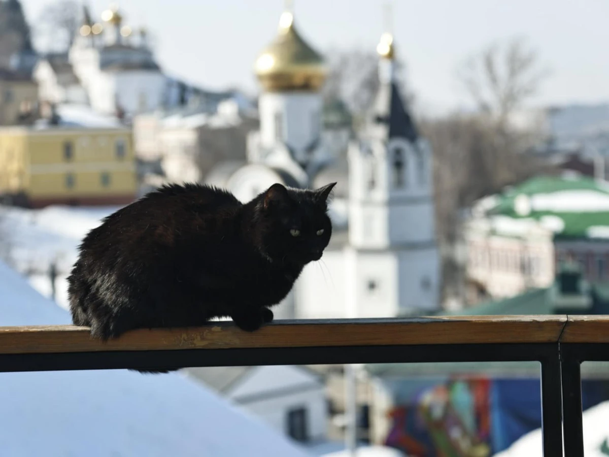 Легенды и тайны Нижегородского кремля — фото 3