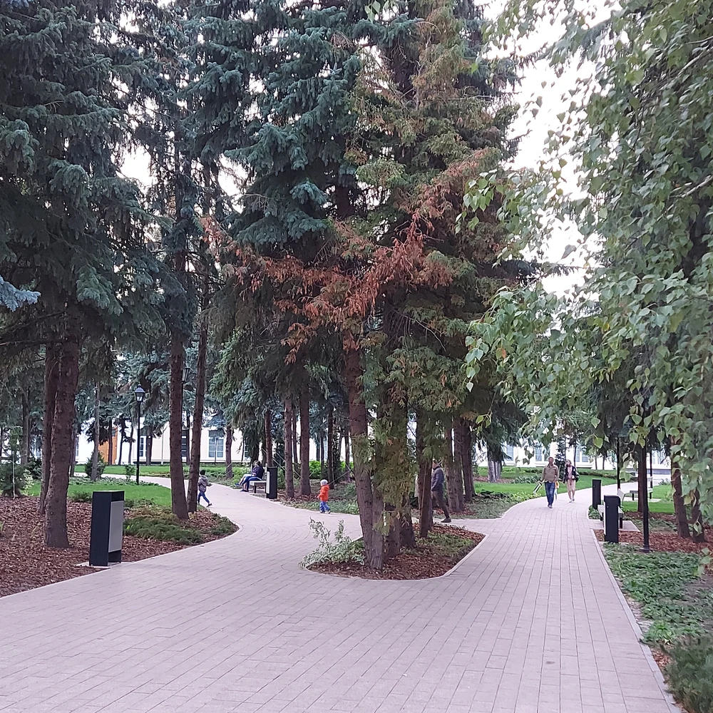 Обзорная экскурсия по Нижнему Новгороду на автобусе — фото 5