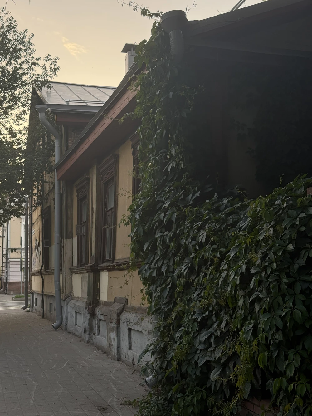 Городские усадьбы Нижнего Новгорода: в чём их секрет? — фото 7
