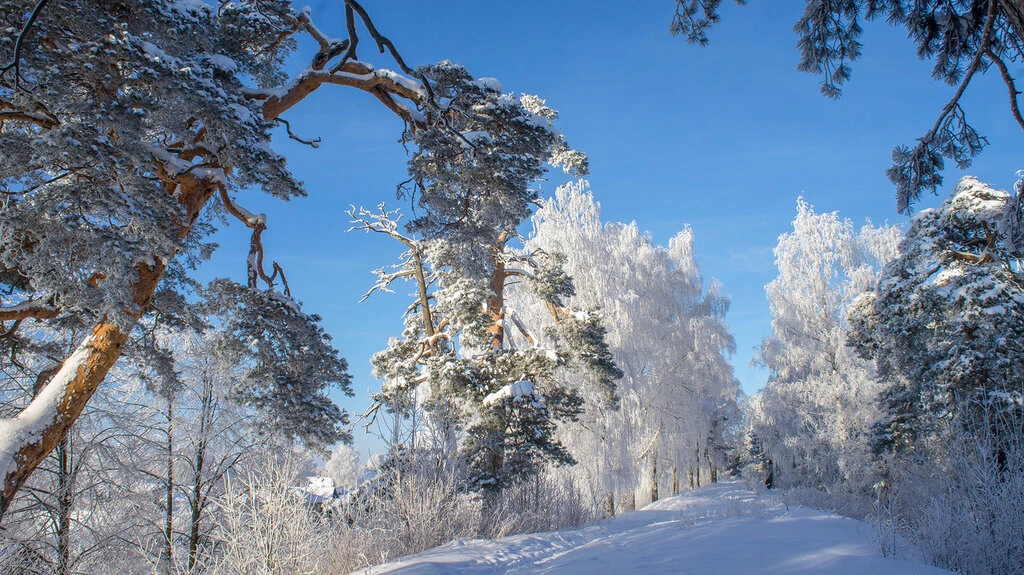 Групповая экскурсия в город-пряник Городец! — фото 8