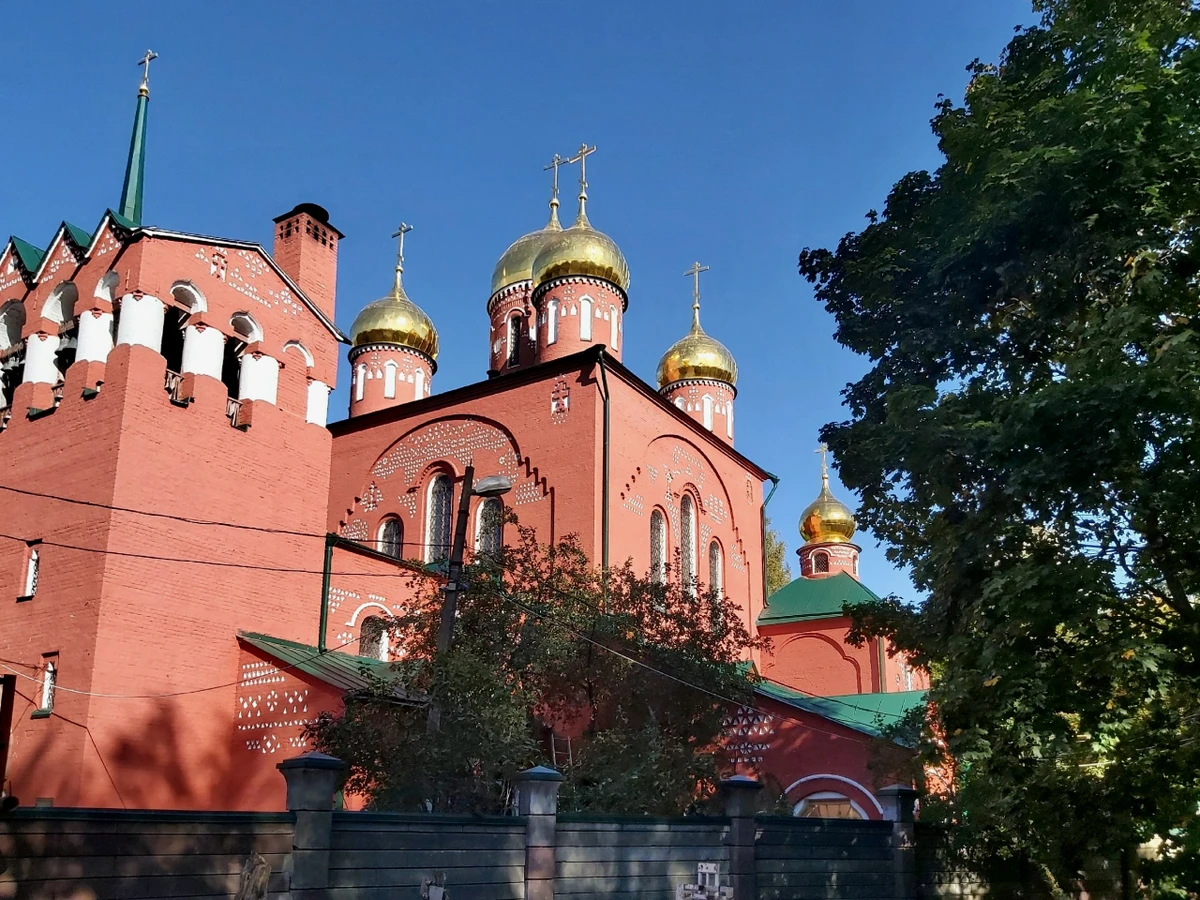 Грибы и гробы: по старинному кладбищу Нижнего Новгорода с микологом — фото 5