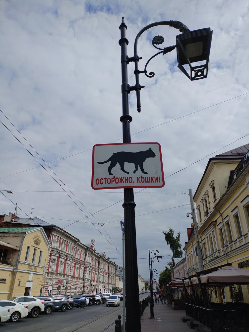 Нижегородские мурлыки — фото 2