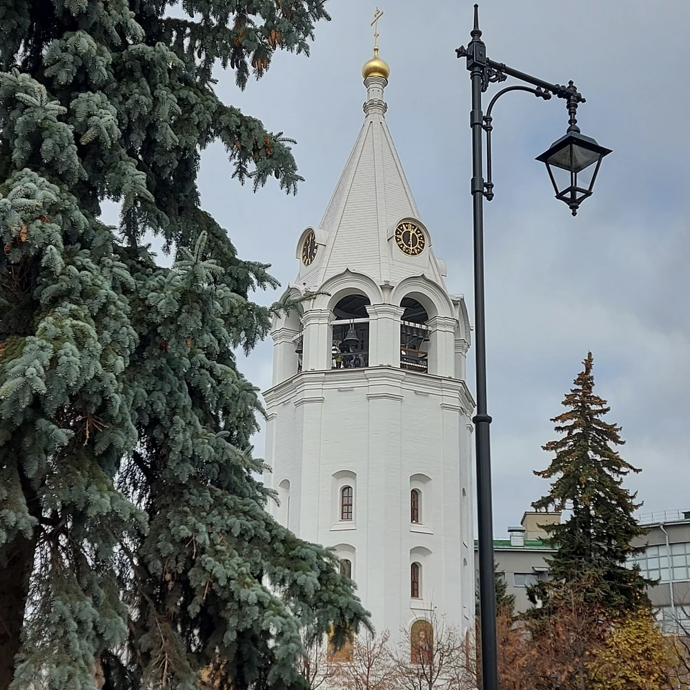 Экскурсия-прогулка по Нижегородскому кремлю — фото 5