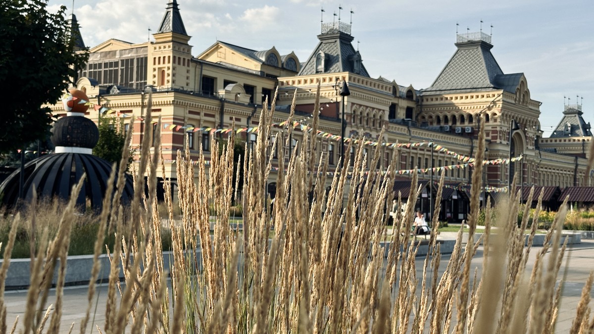 Криминальная ярмарка Нижнего Новгорода — фото 3